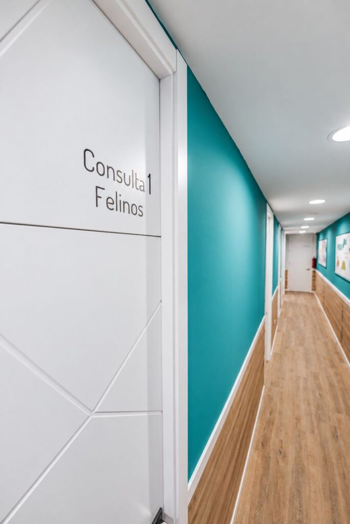 Clinica Marina-03